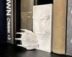 Horror-fantasy bookshelf insert with swamp creature design