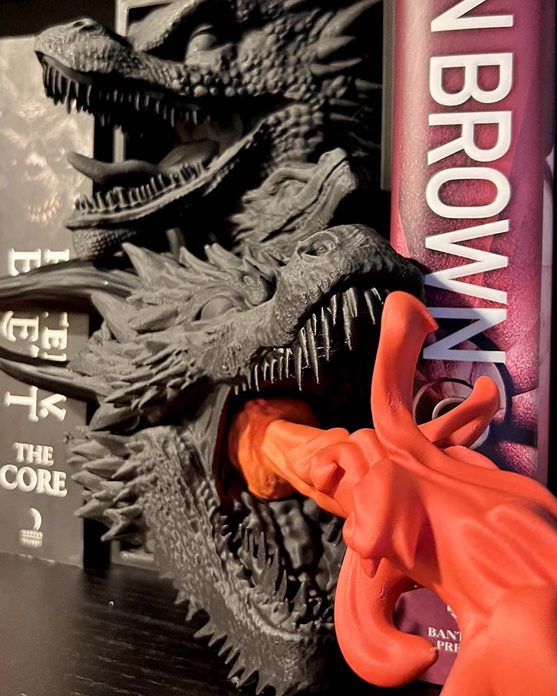 Drogon Book Nook
